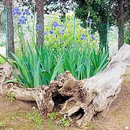 Meravilla 3*