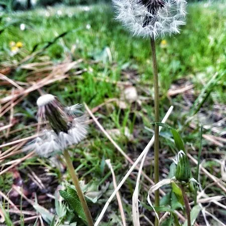 Couette-café Meravilla Ascoli Piceno