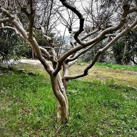 Meravilla Ascoli Piceno