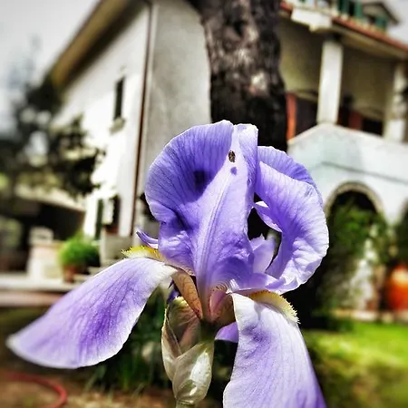 Couette-café Meravilla Ascoli Piceno