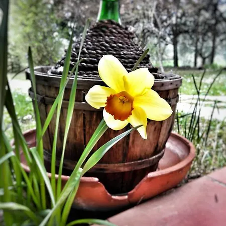 Bed & Breakfast Meravilla