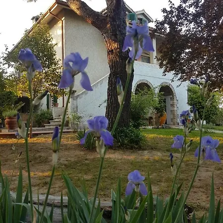 Bed & Breakfast Meravilla