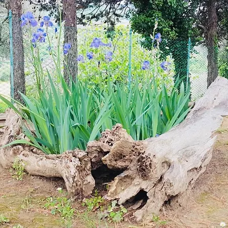 Bed & Breakfast Meravilla