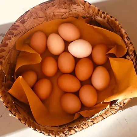 Meravilla Ascoli Piceno