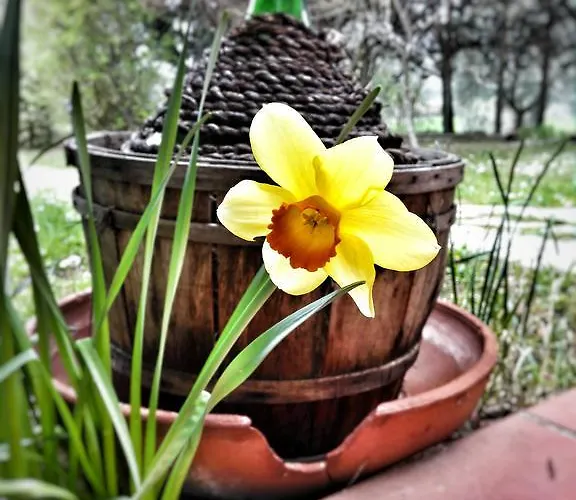 Bed and breakfast Meravilla