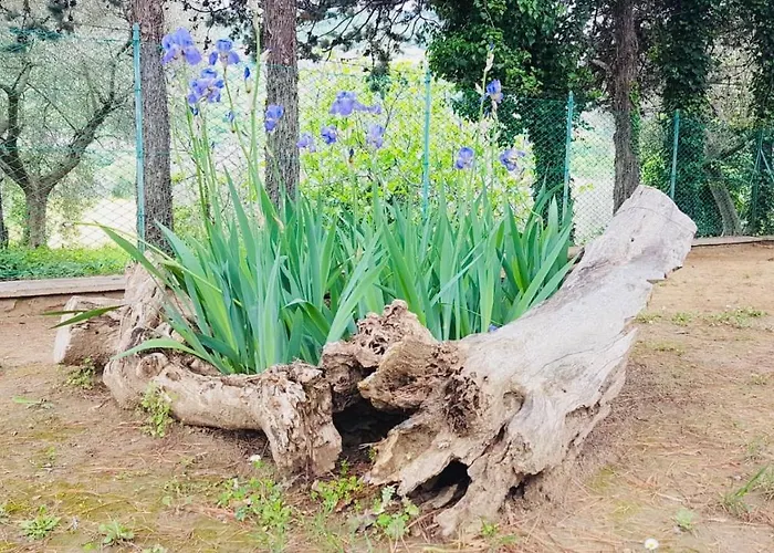 Bed & Breakfast Meravilla