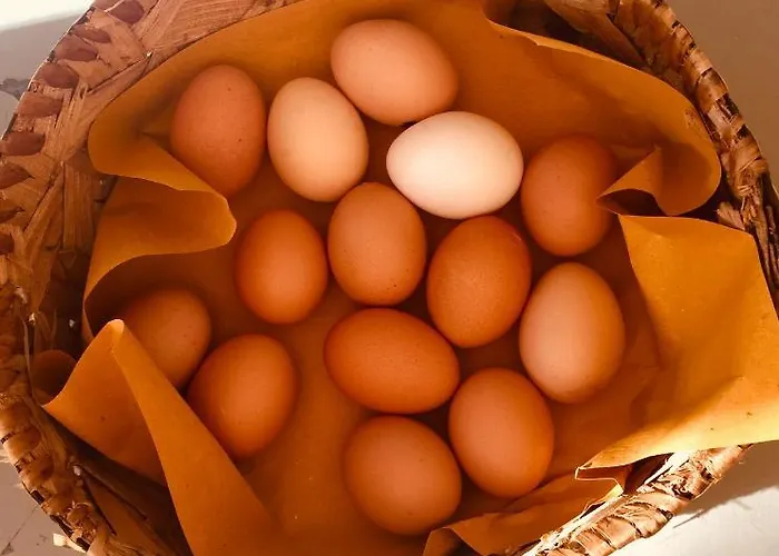 Meravilla Ascoli Piceno